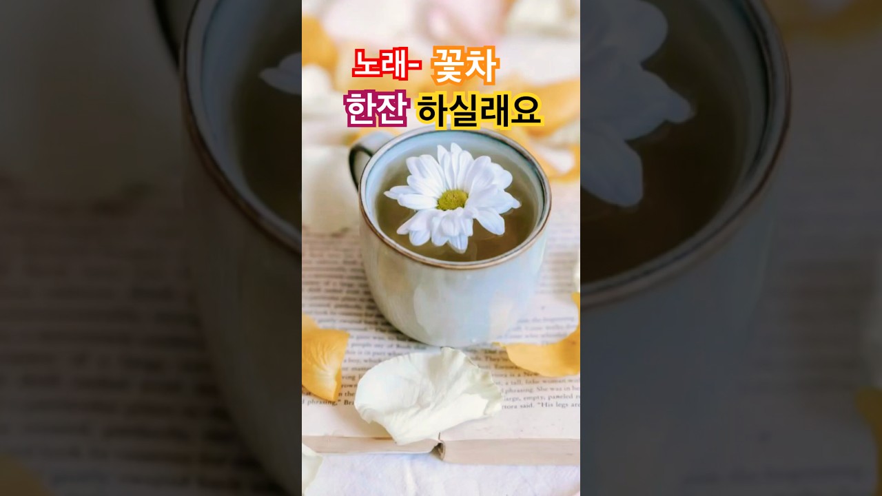 노래-꽃차한잔하실래요#석피디가만든노래#작사#작곡#새노래#신곡#프로덕션빅트리#빅트리tv#좋아요#낭만1도없는캠핑#구독해줘요#빅트리와석PD#좋아요#배우석호진