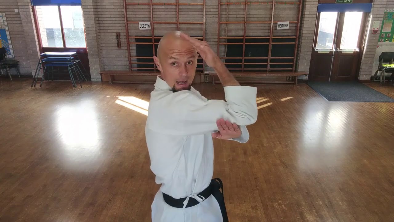 Kosokun Dai Shitoryu Shukokai Karate Kata basic Guide