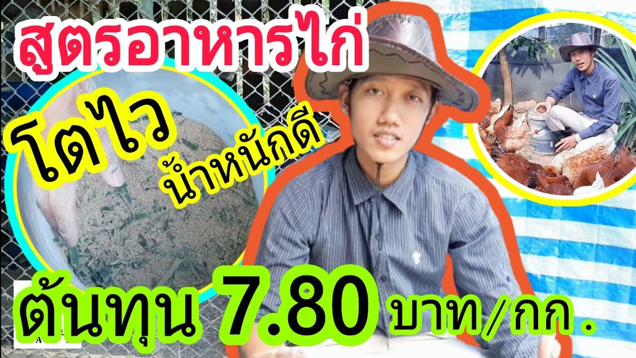 สูตรอาหารไก่ โตไว น้ำหนักดี ต้นทุน 7.80 บาท/กก. : SMILE FARM