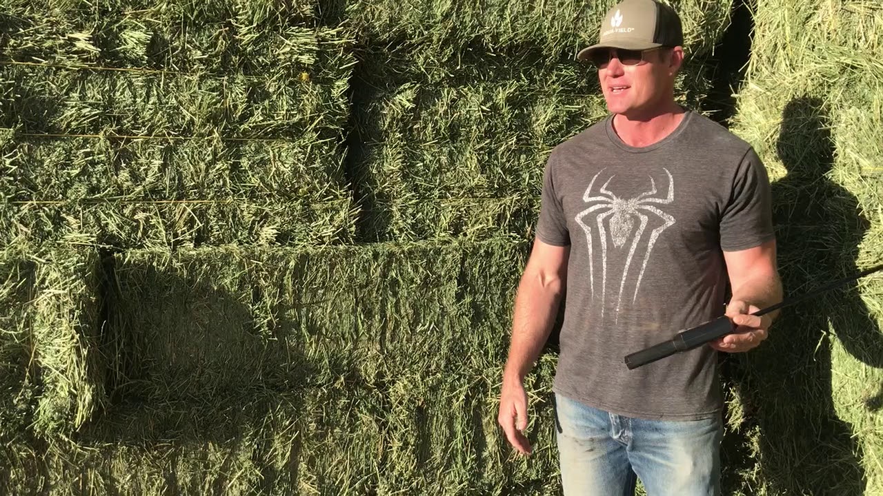 Hay Moisture
