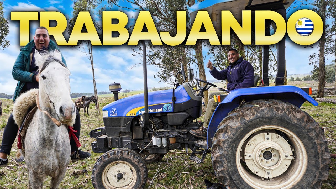 Así es la REALIDAD del TRABAJO en el CAMPO URUGUAYO