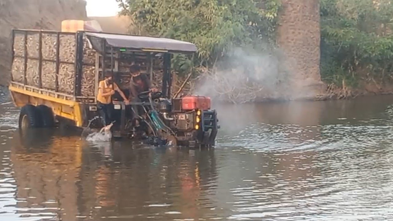 Agricultural vehicles carry fresh cassava through streams and passes ll hồ miền nam