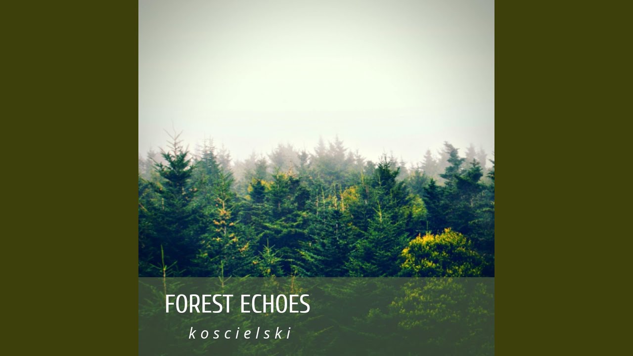 Forest Echoes
