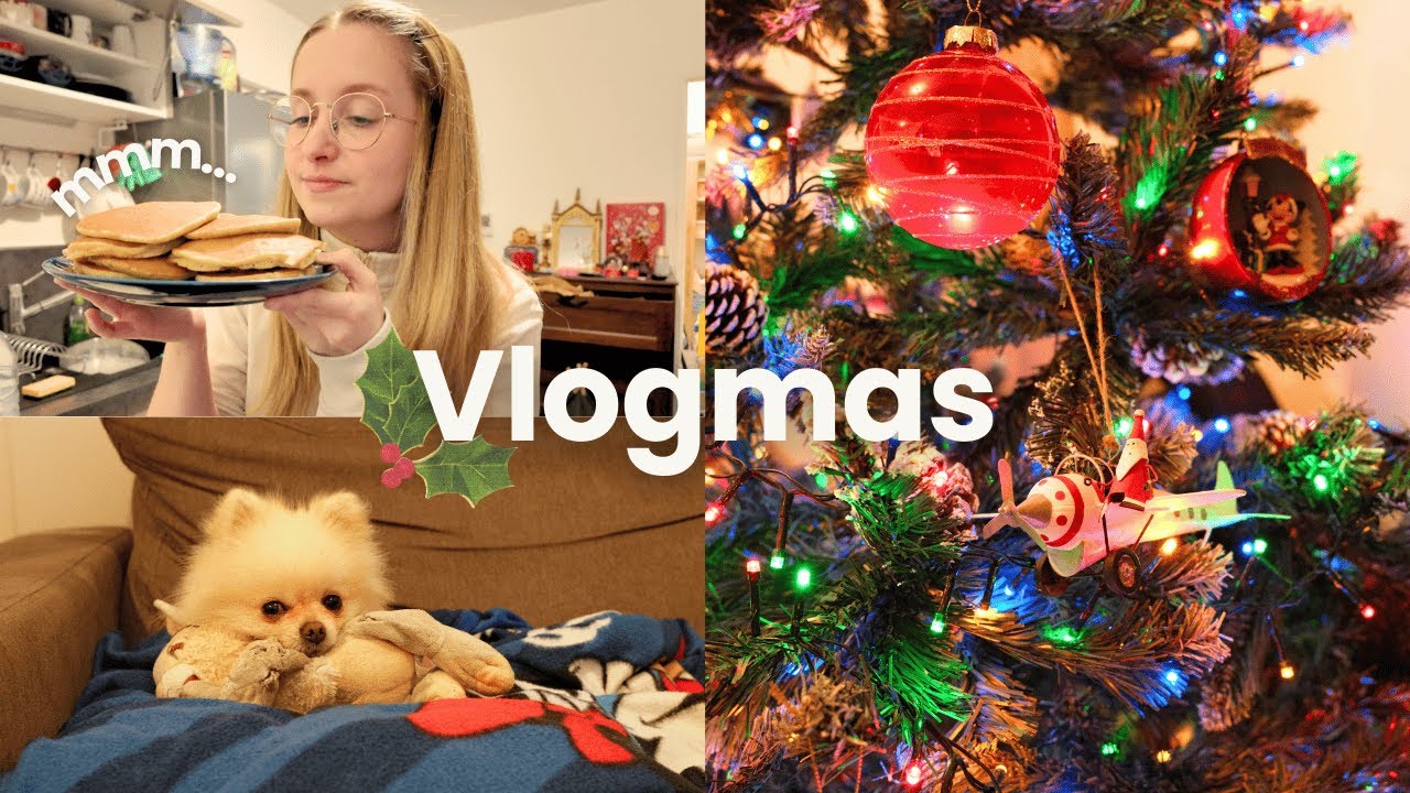 vlogmas🎄: Cu&aacute;nto cuesta la compra en Francia?🛒 + recetas de invierno 🎃