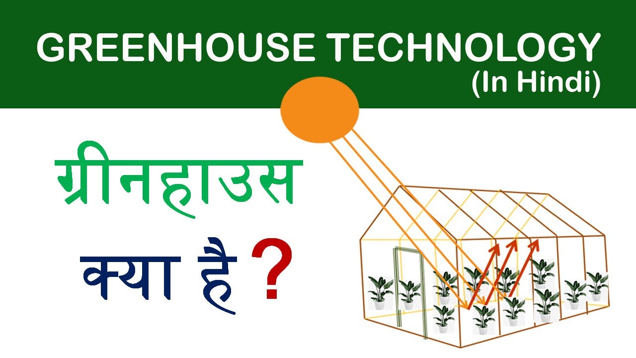 What is Greenhouse  or Polyhouse ? ( IN HINDI ) ग्रीनहाउस  या पोलीहॉउस क्या है ?