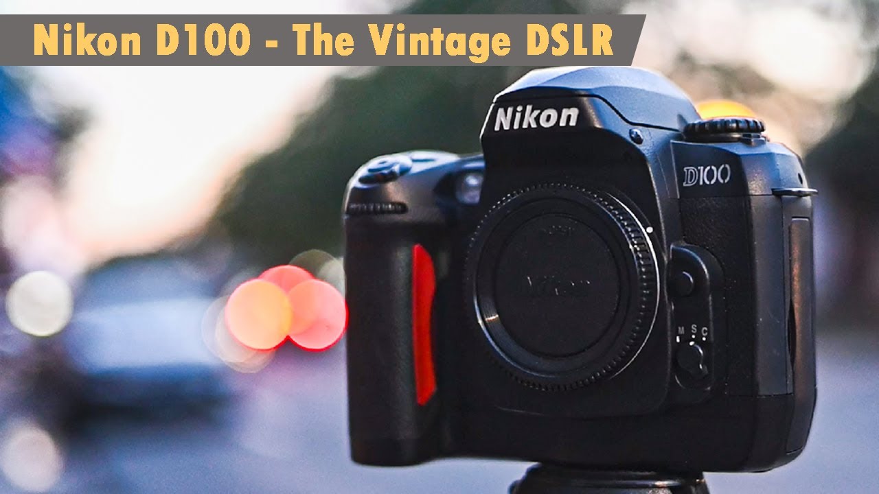 Nikon D100, винтажная зеркальная камера. Она всё ещё хороша в 2024 году?