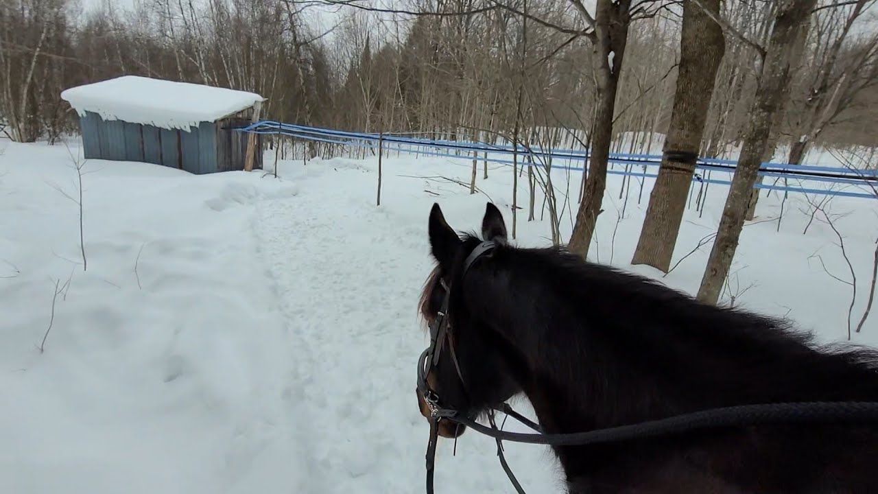 Come on a winter trail ride with us [18.02.2026]