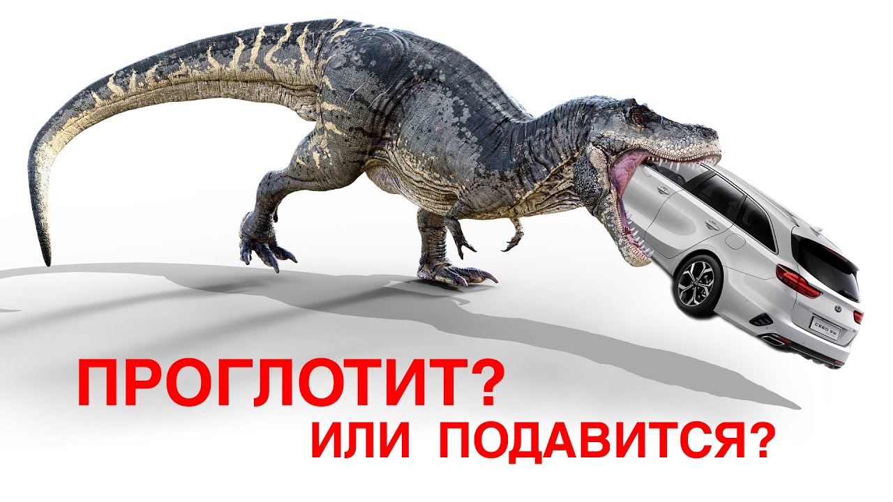 Проглотит или подавится? Тираннозавр Focus и Ceed. Что такое запчасть 710?