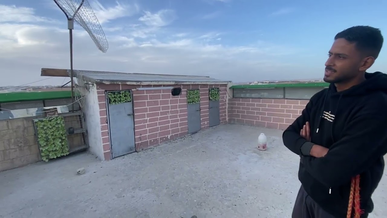 اجمل كووم اليوم وصيد طيرين موعد 😱