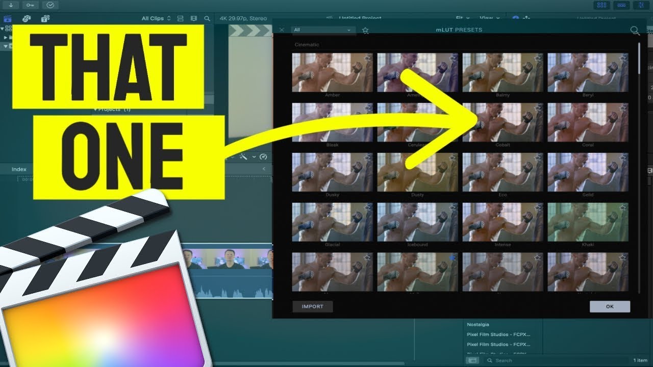 How to PREVIEW LUTs before applying | Final Cut Pro X