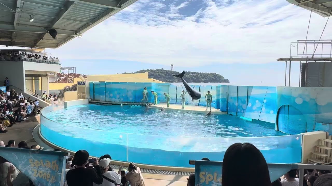 2025.09.23 Wave～きみの波になりたい～water,water,water!! 