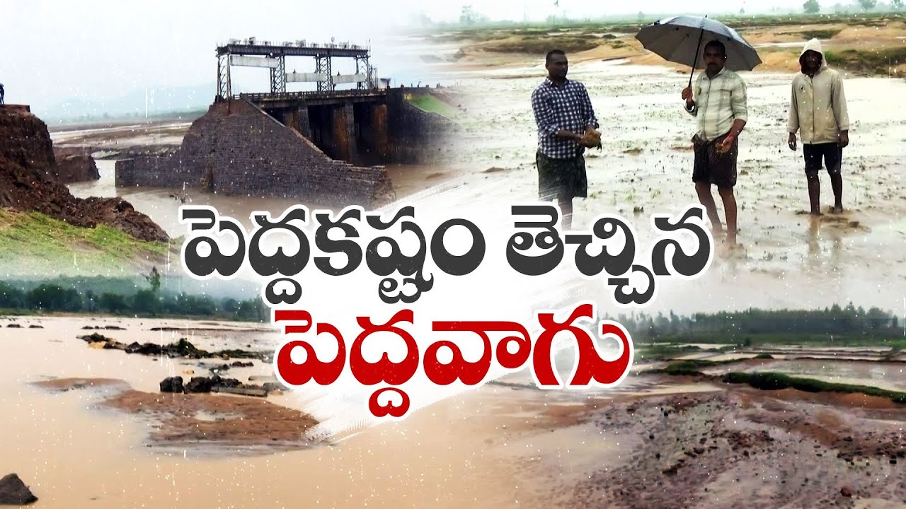 Peddavagu Project Broken Due to Heavy Flood  | పెద్ద కష్టం తెచ్చిన పెద్దవాగు