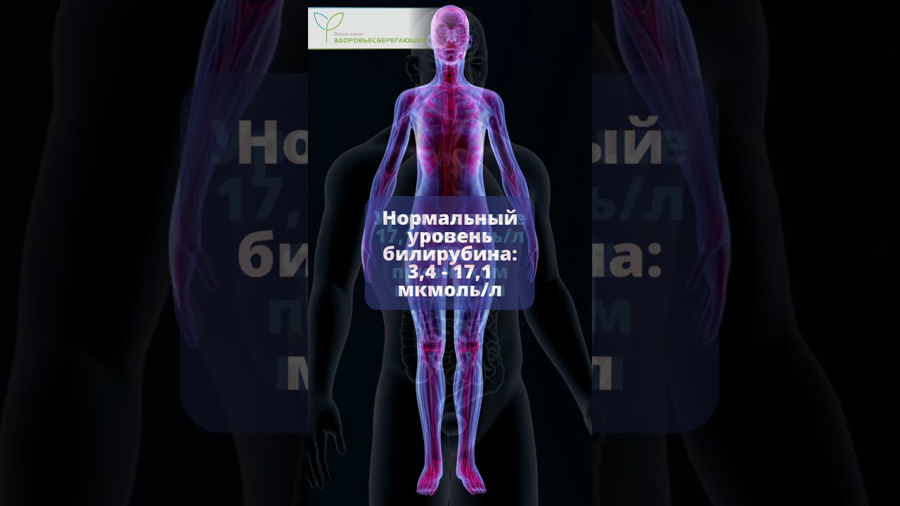 Билирубин &ndash; почему так важно следить за его уровнем