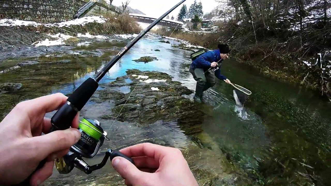 Spinning alle trote nel fiume Stura a Masone pt.1