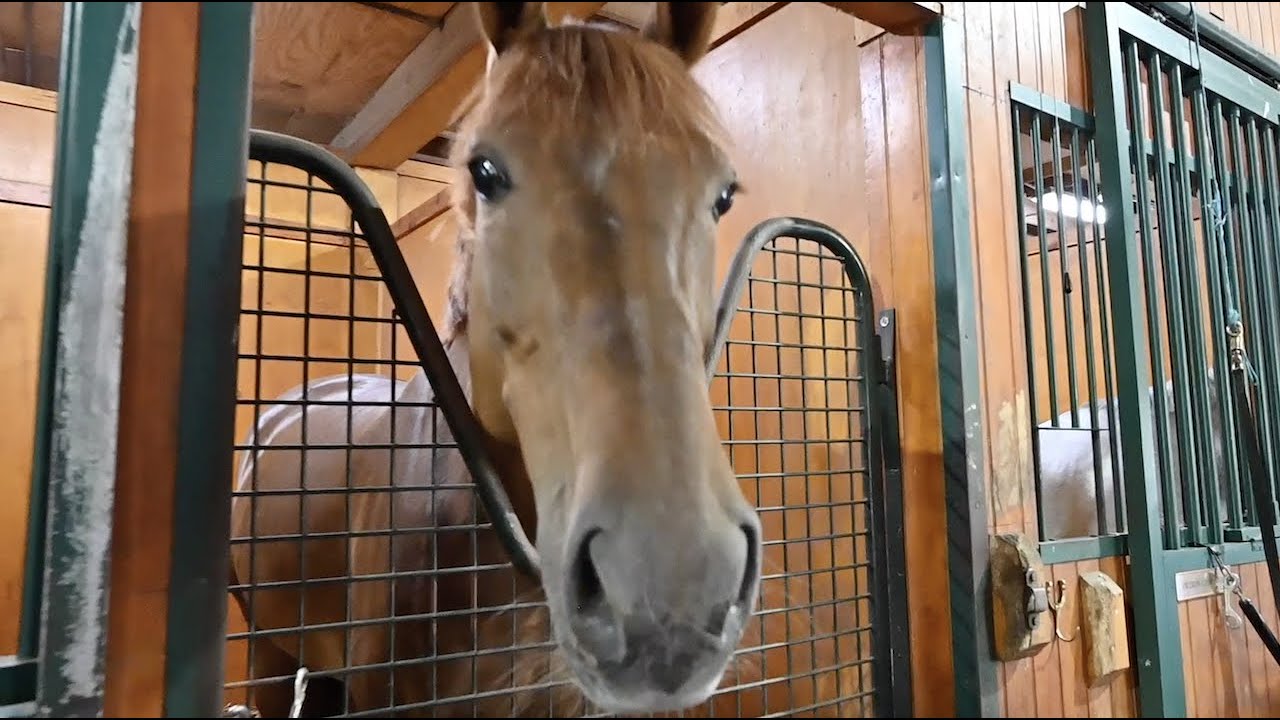 Belle Grey Farm Upperville Virginia