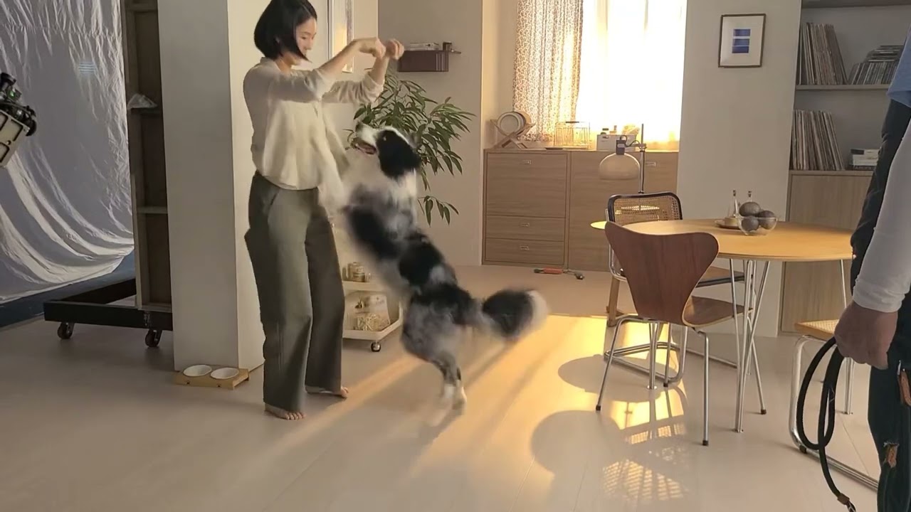 KakaoTalk Video 2025 12 30 19 39 42