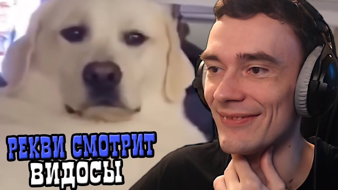 Рекви смотрит видосы #10
