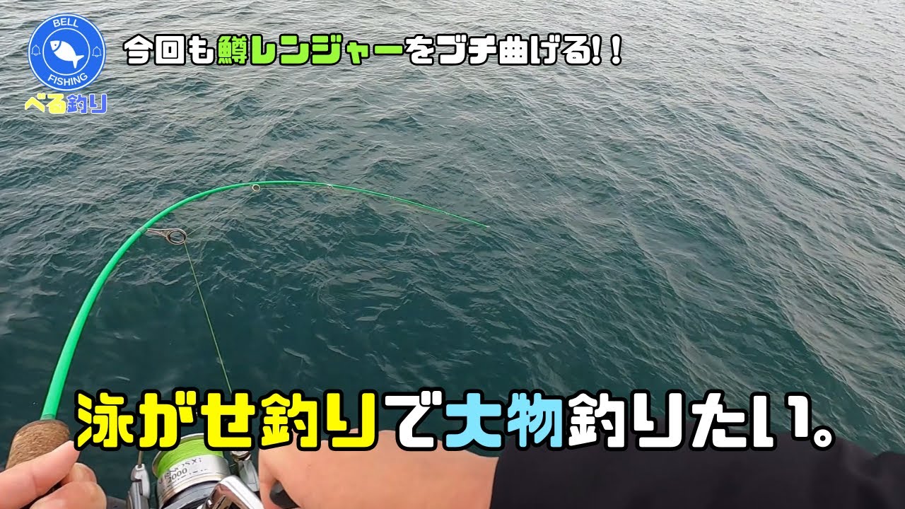 【鱒レンジャー】狙うは青物！堤防からの簡単泳がせ釣り！
