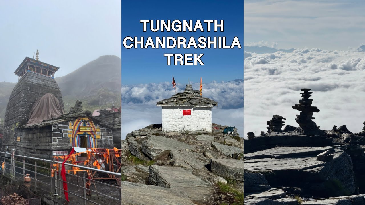 Tungnath Chandrashila Trek, Chopta Experience pure Himalayan Trek in Uttarakhand.