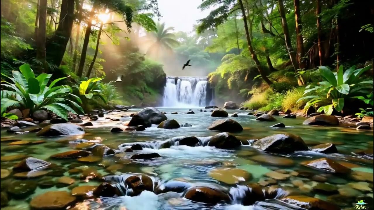 Deep Sleep Therapy with Natural Sounds 🌿 Stress Relief, Insomnia & Focus Healing