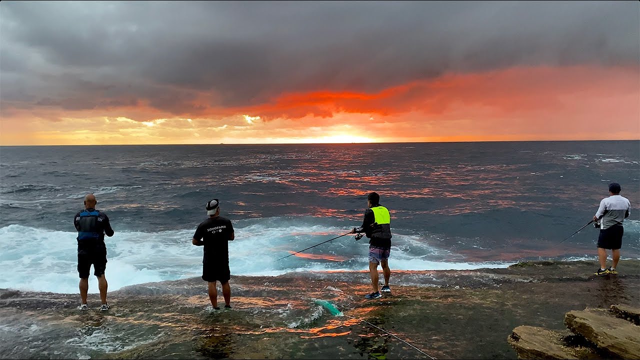 Spinning lures for bonito land based at sunrise in Sydney NSW Australia - Bugsy Fishing Ep 24