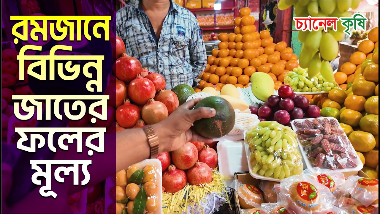 রমজানে বাজার দর | ফল বাজার | Fruits Market | Riaj Uddin Bazar | Krishi Vlog | Channel Krishi.