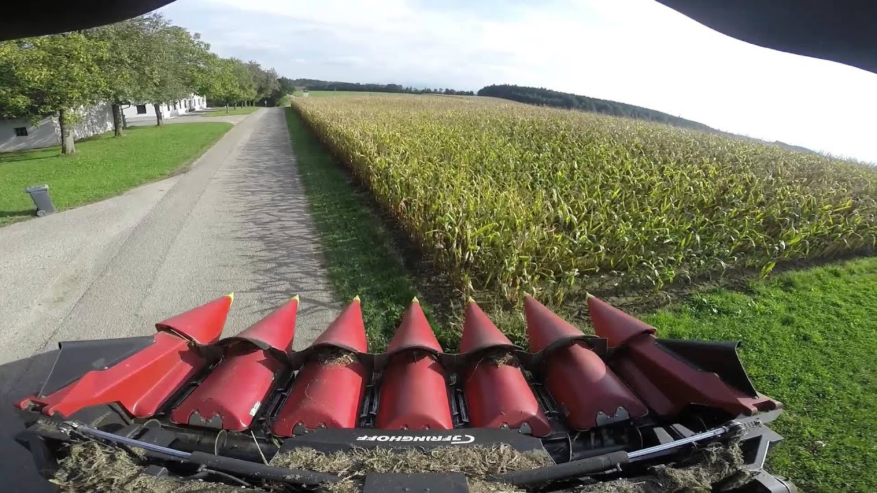 Maisdrusch Lexion 540 Geringhoff