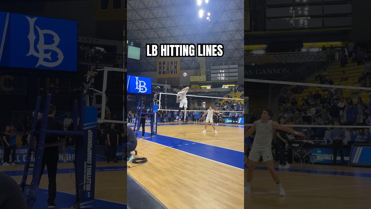 Long Beach State Hitting Lines