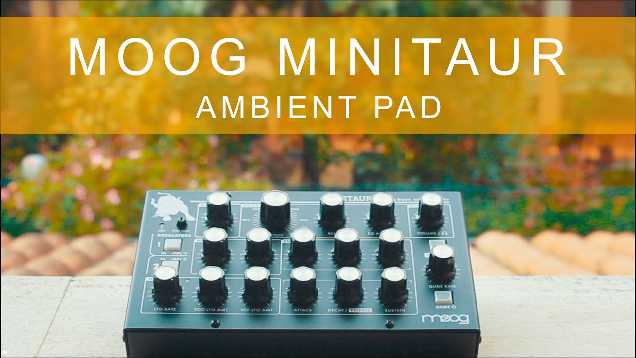 Ambient 100% Moog Minitaur: Velvety Ambient Pad