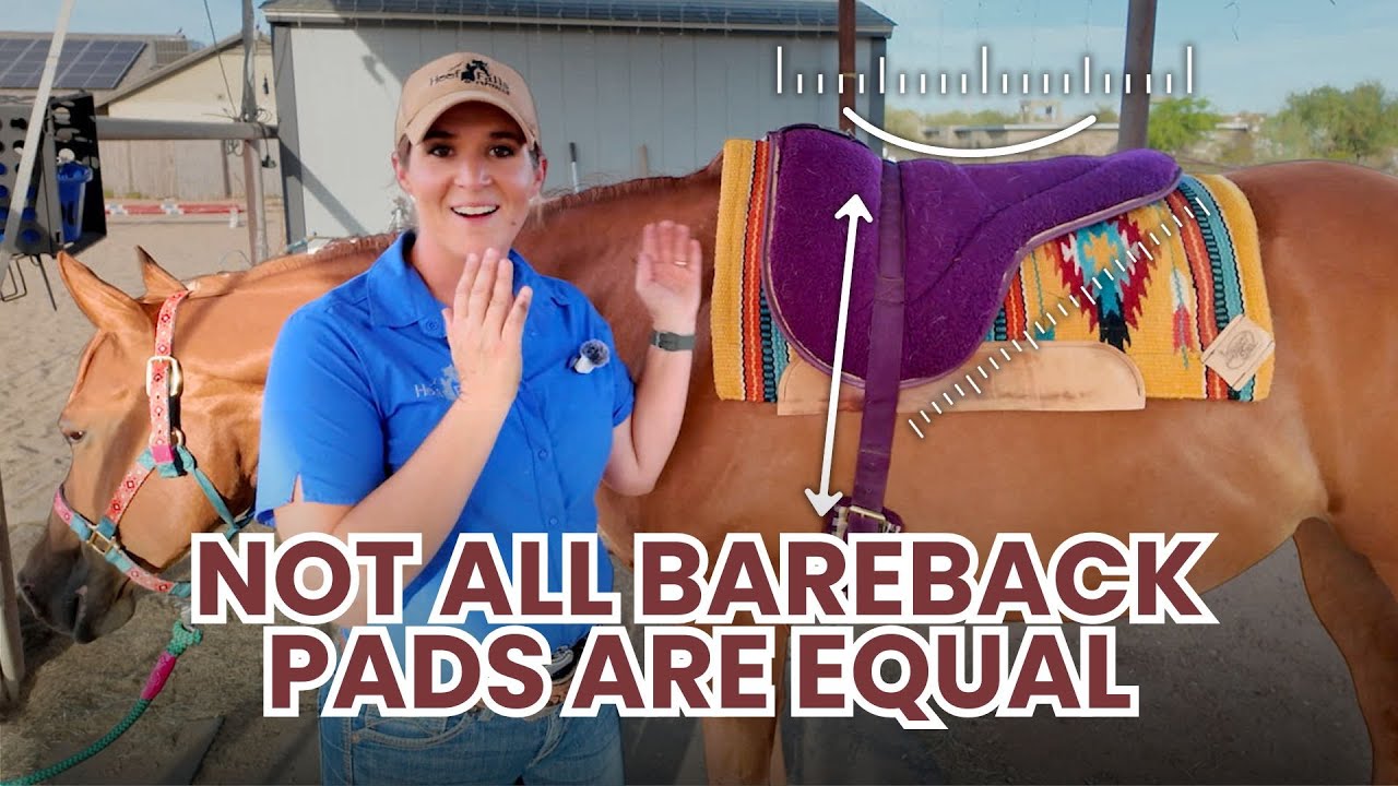 Bareback Pads 101 for Instructors: Fit, Function, & Common Pitfalls