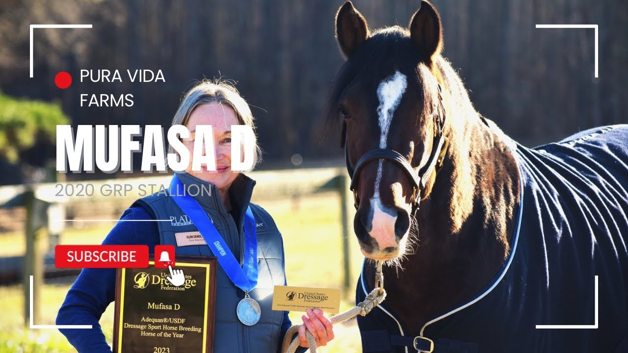 Mufasa D Stallion Licensing