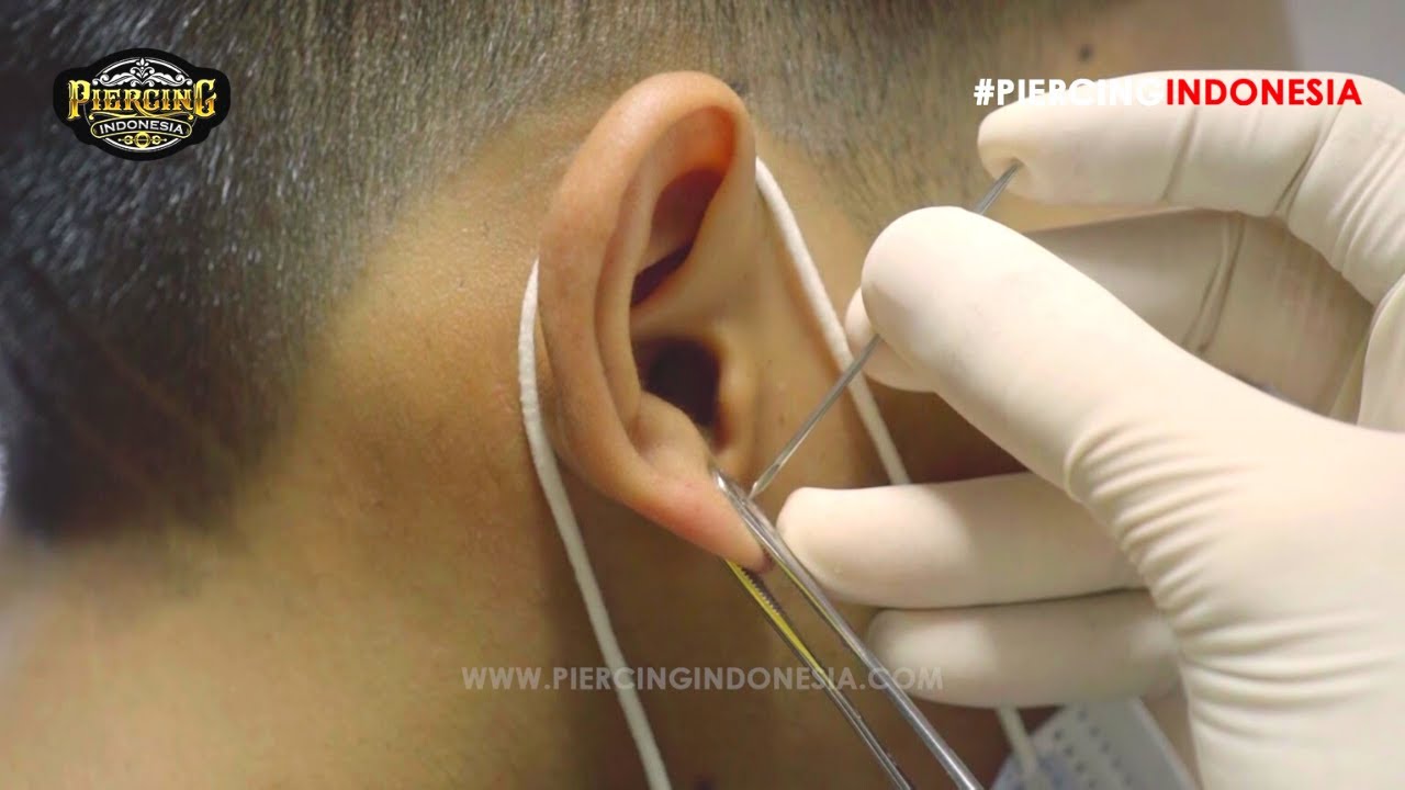Lobe Piercing || Studio Tindik di Surabaya (Segera Buka, Maret 2021)