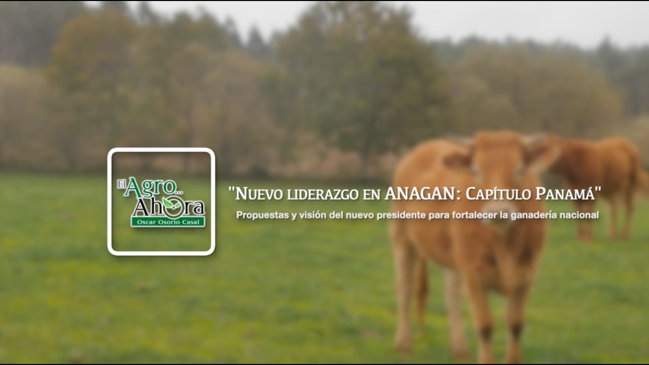 # Agro. Plan de desarrollo Ganadero de Anagan Capítulo Panamá con Agustín Espinosa.