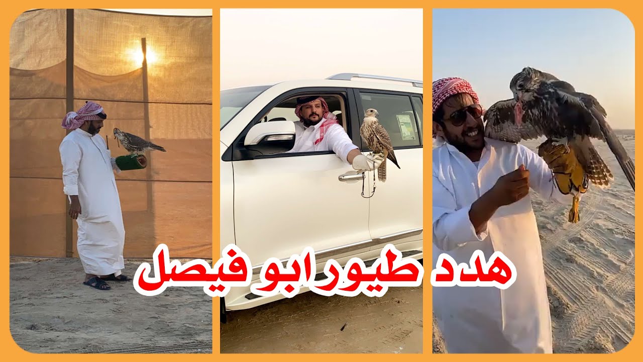 هدد طيور الامير ناصر بن نوافا ال سعود 💚 الطير خزام