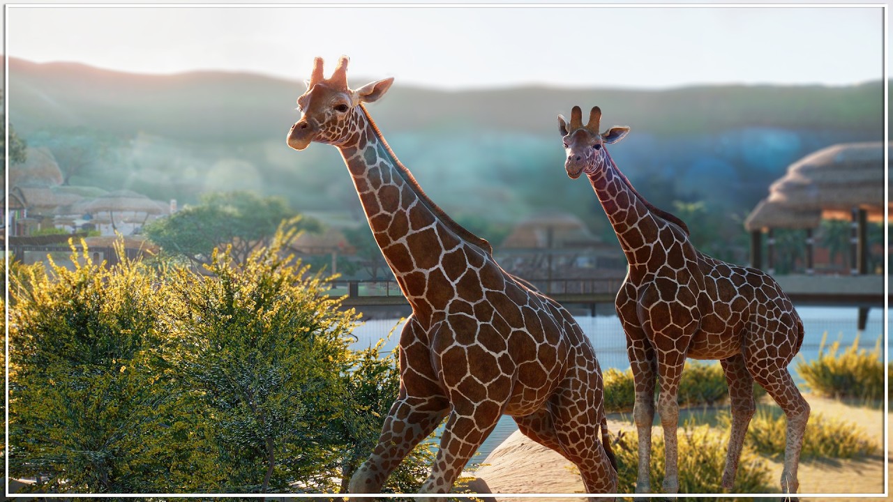Building the ULTIMATE African Zoo in Planet Zoo Franchise Mode | Supercut