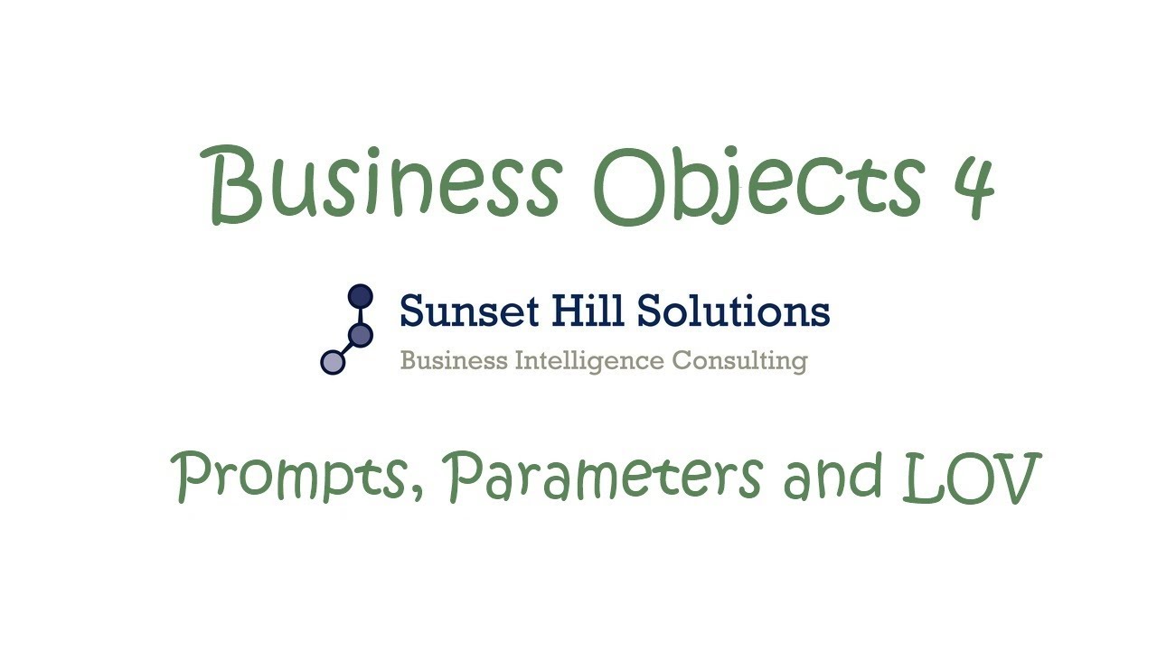 Business Objects 4x Information Design Tool - Prompts, Parameters and LOV