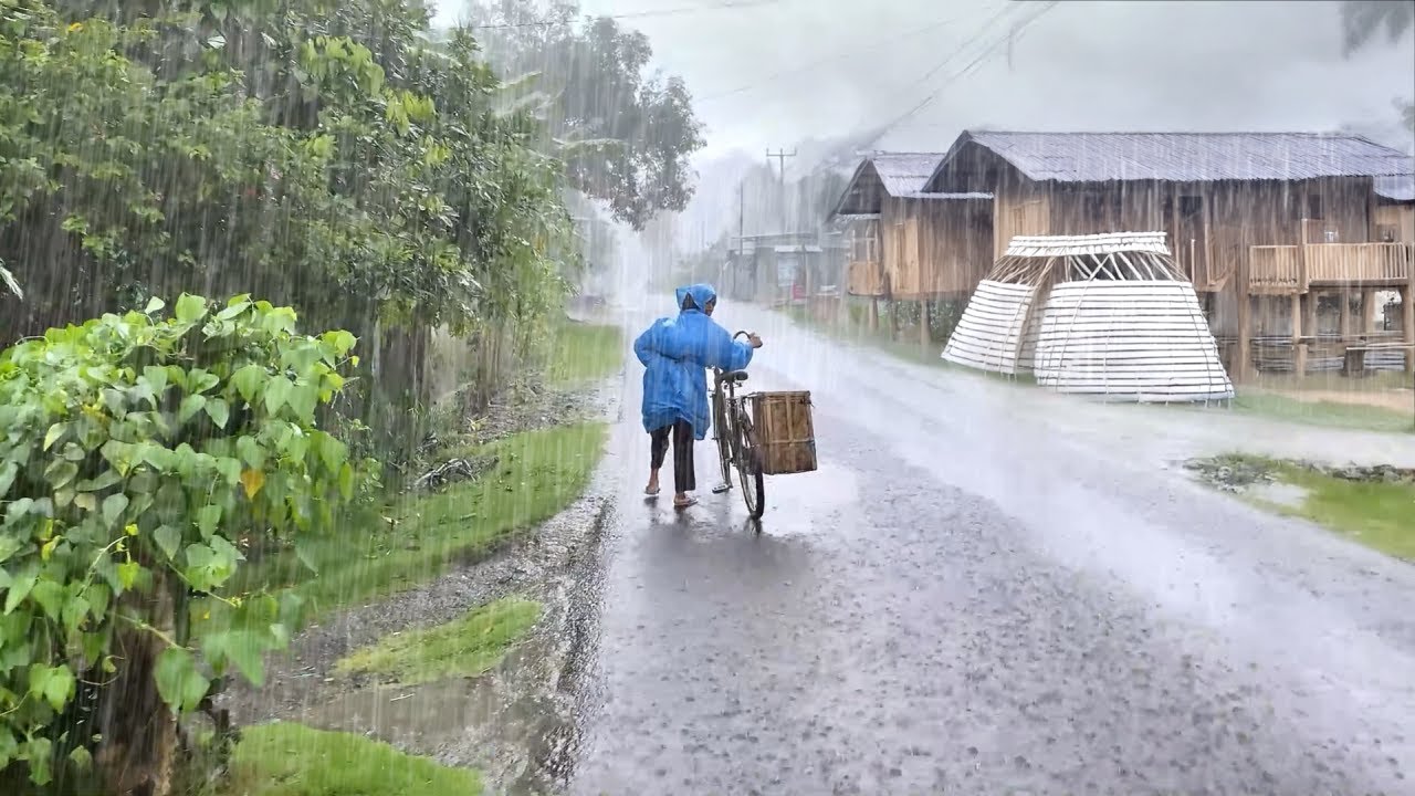 Rain storm big wind for Sleep Very refreshing | Heavy rain in village traditional life