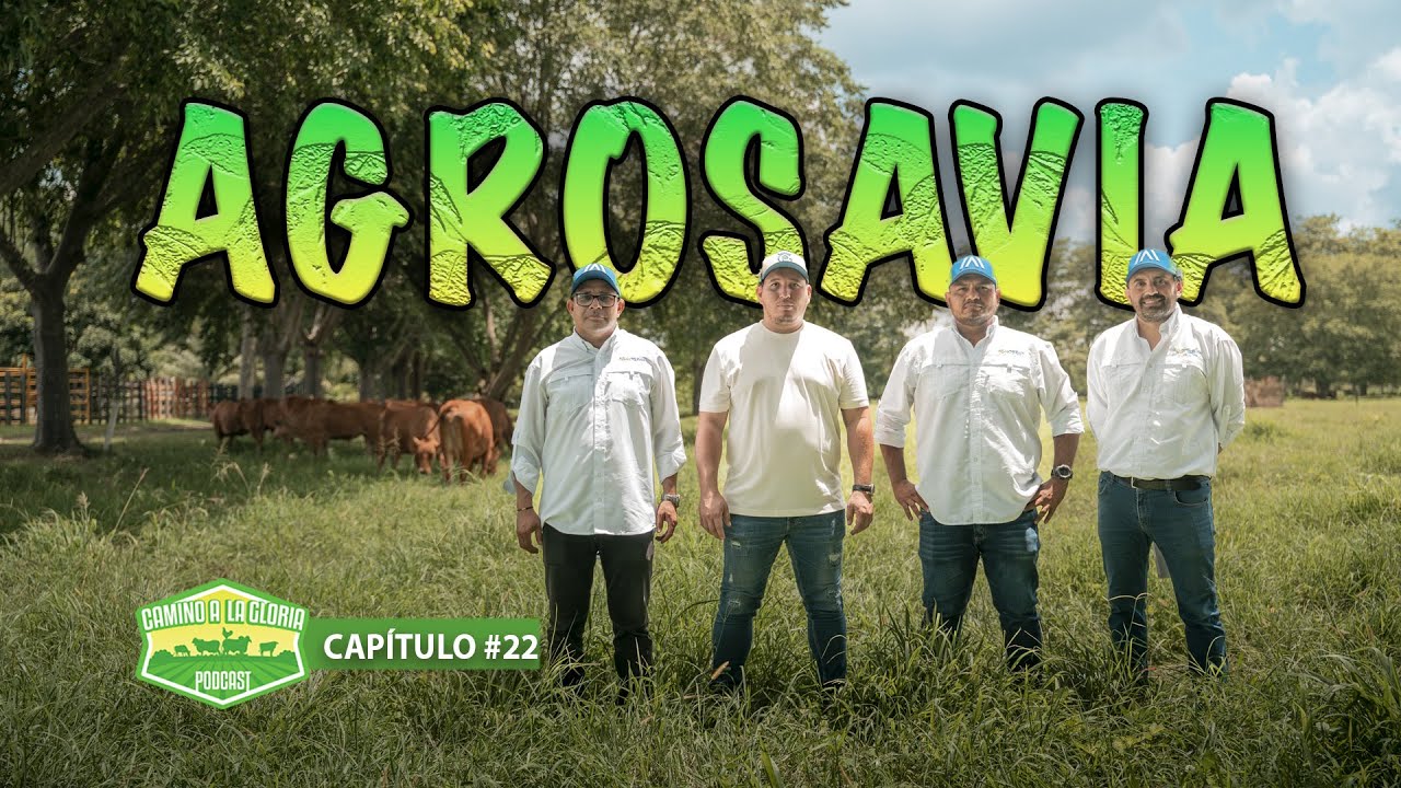 AGROSAVIA sede Turipána (Razas Criollas)