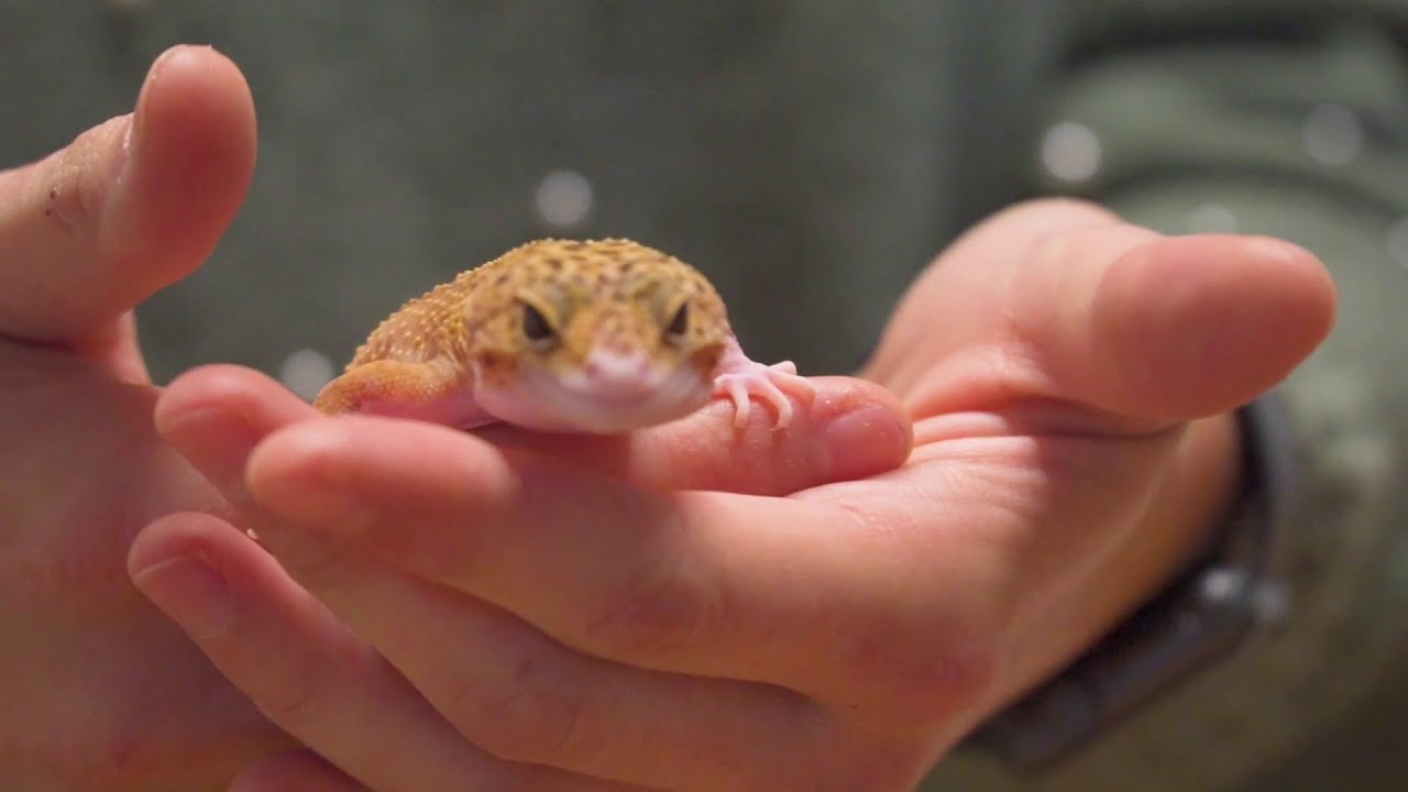 BG Vöcklabruck Schulfilm Teil 3