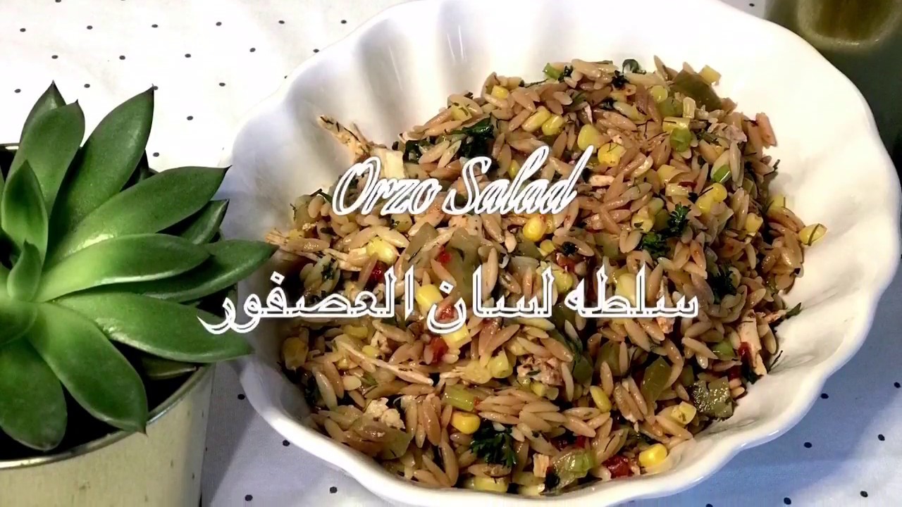 Chicken and Orzo Salad سلطه الشعريه طعم خيالي ولذيذ رح تعجبكم