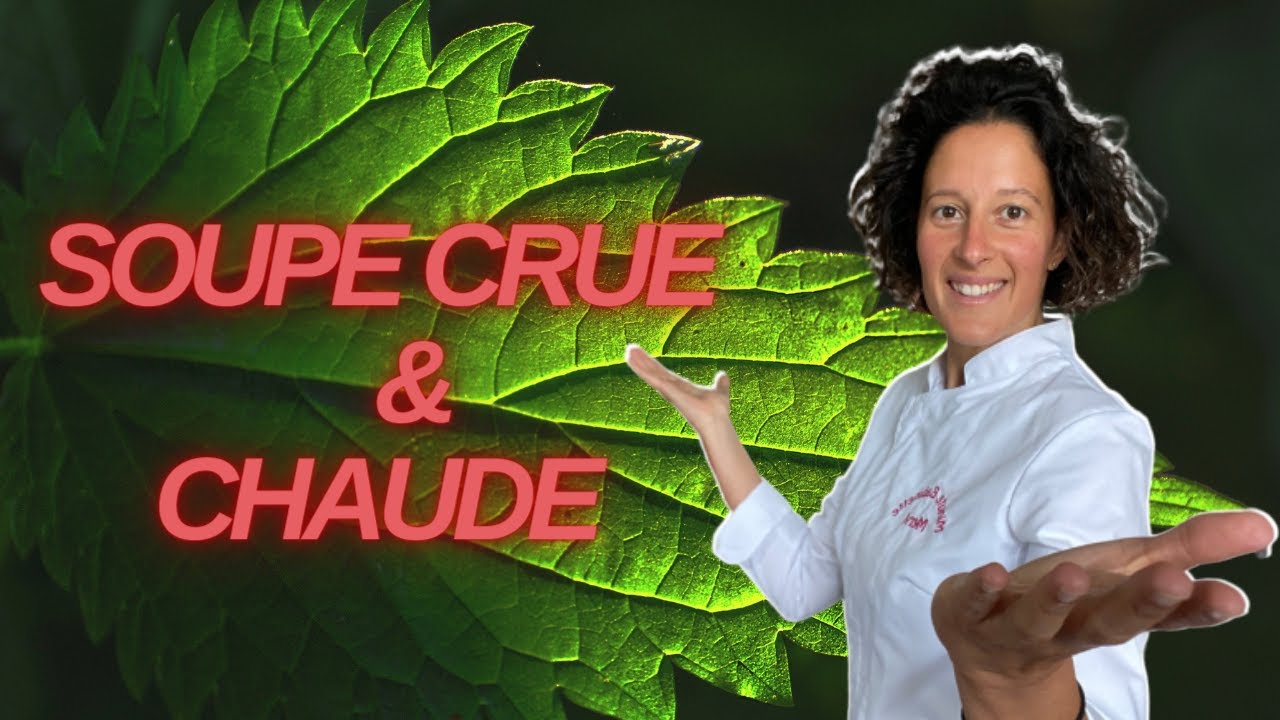 COMMENT FAIRE UNE SOUPE CRUE ET CHAUDE : Aux Orties