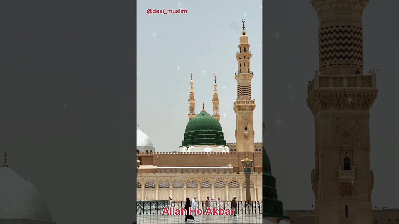 HAMNE ANKHON  SE DEKHA NAHIN HAI MAGAR | HEART TOUCHING NAAT 