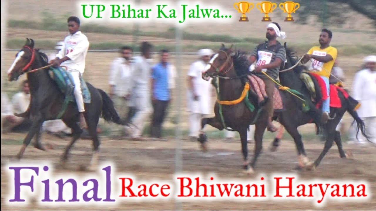 Final Race Bhiwani Haryana🔥UP Bihar ke Ghodo Ka Dabdba @HorseMan07 #race #sindhi #horseracing