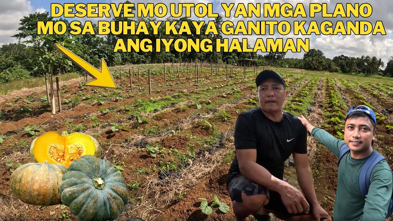 DESERVE MO UTOL ANG PAG GANDA NG IYONG MGA HALAMAN @anthonyjaballa5323