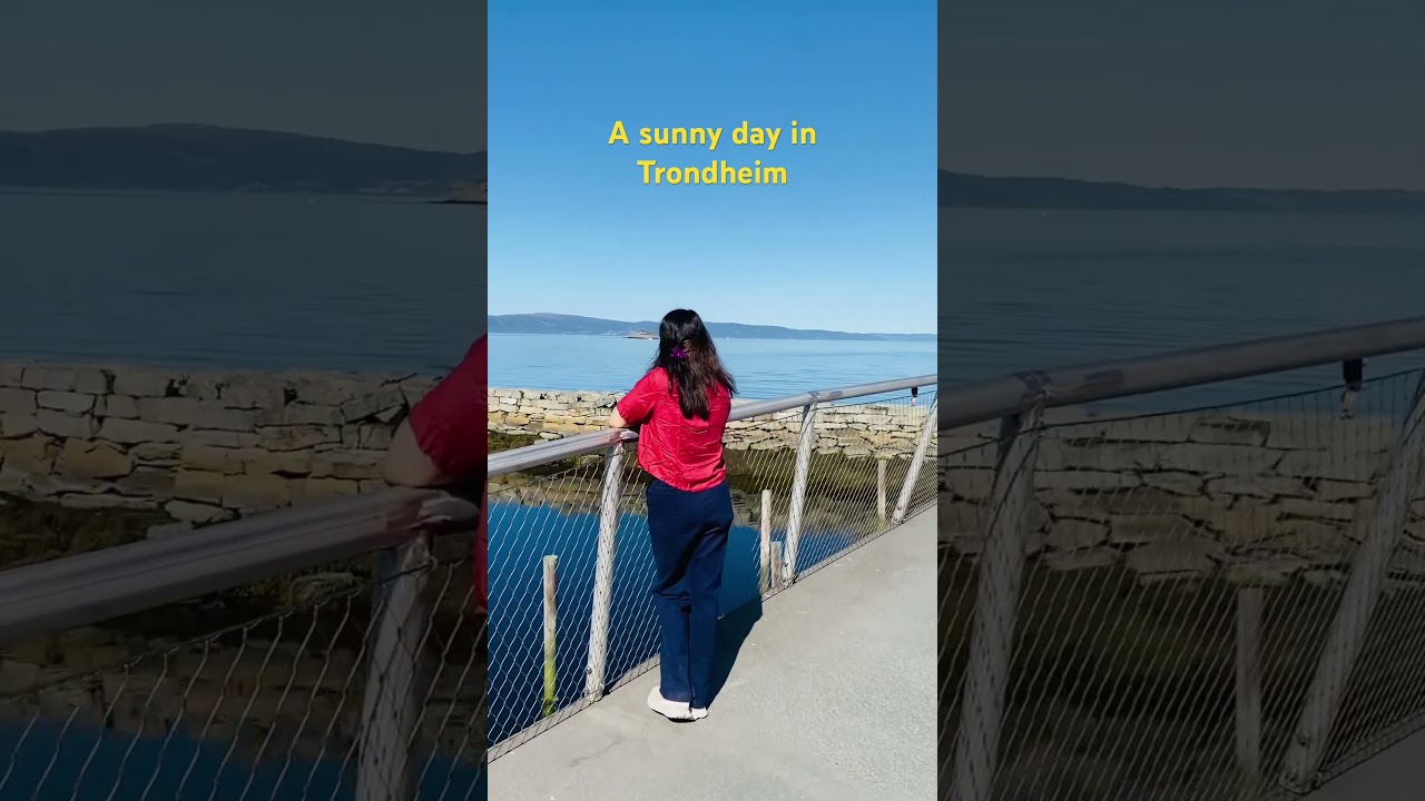 Summer is here 🤗#norge #tr&oslash;ndelag #youtubepost #youtubeshorts #scandinavia