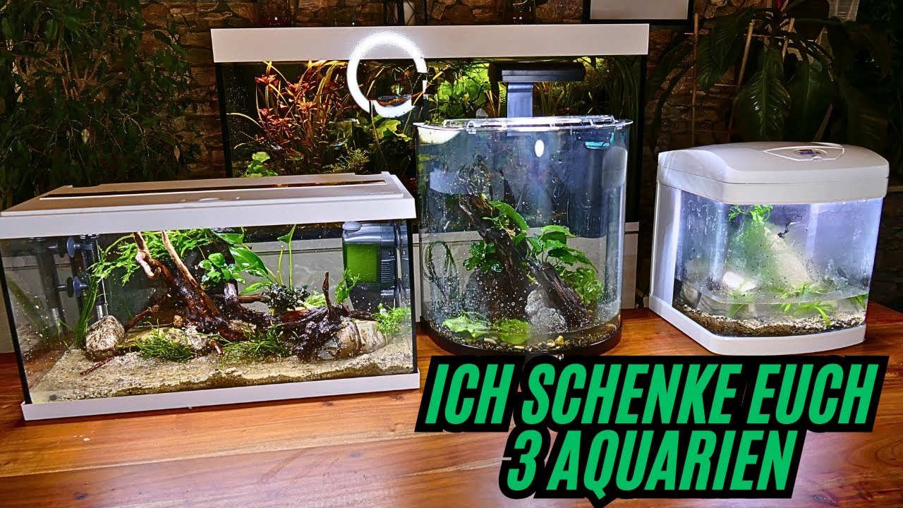 Ich SCHENKE euch 3 AQUARIEN