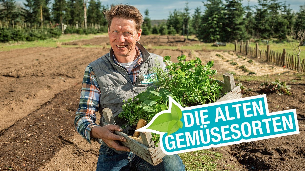 Alte Gemüsesorten richtig anbauen