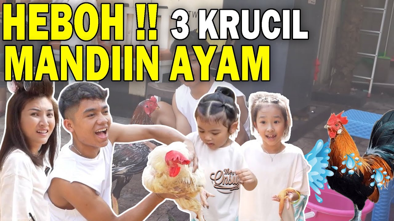 BETRAND, THALIA, THANIA PERTAMA KALI MANDIIN AYAM‼SATU RUMAH AUTO HEBOH⁉ | THE ONSU FAMILY
