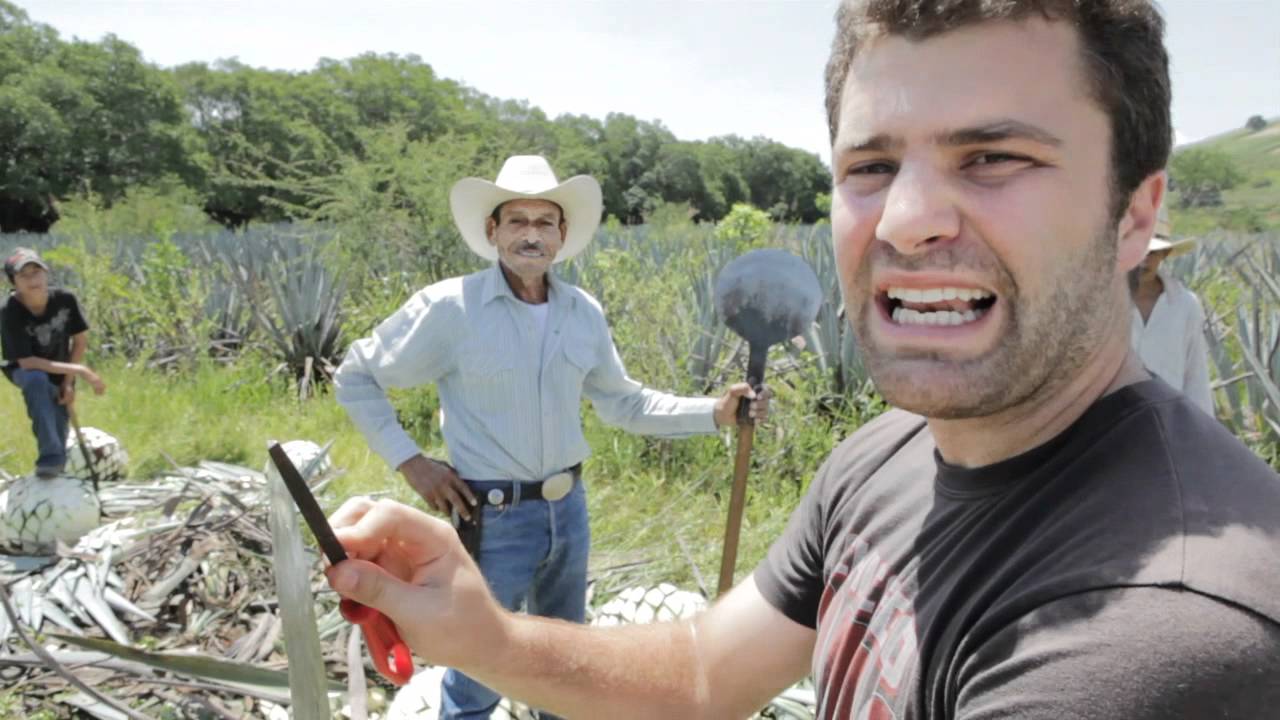 Tequila Academy: The Agave Fields (episode 3)