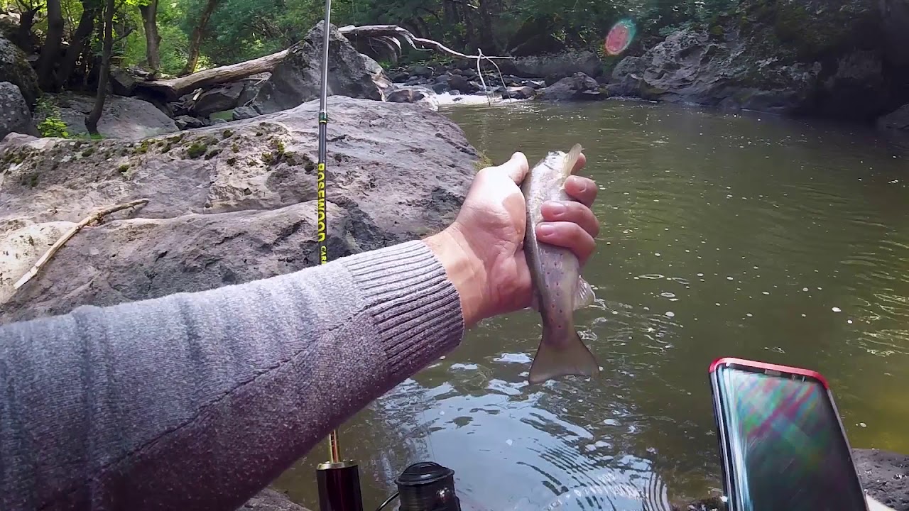 Рыбалка на Горную Форель в Армении. Июль 2020 /// Wild Trout Fishing in Armenia. July 2020